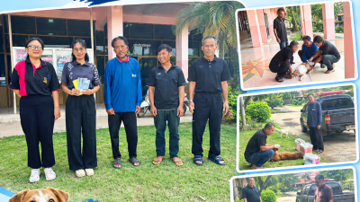 ฉีดวัคซีนพิษสุนัขบ้าเพื่อป้องกันโรคระบาดที่เป็นอันตรายต่อชีวิตที่โรงเรียนเทพาลัย